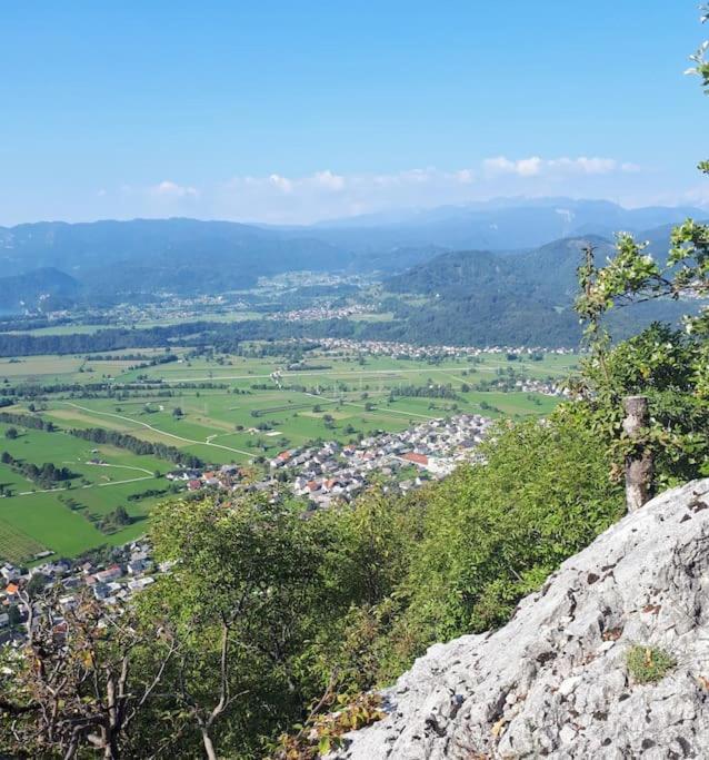 Apartma Juli Zirovnica Dış mekan fotoğraf