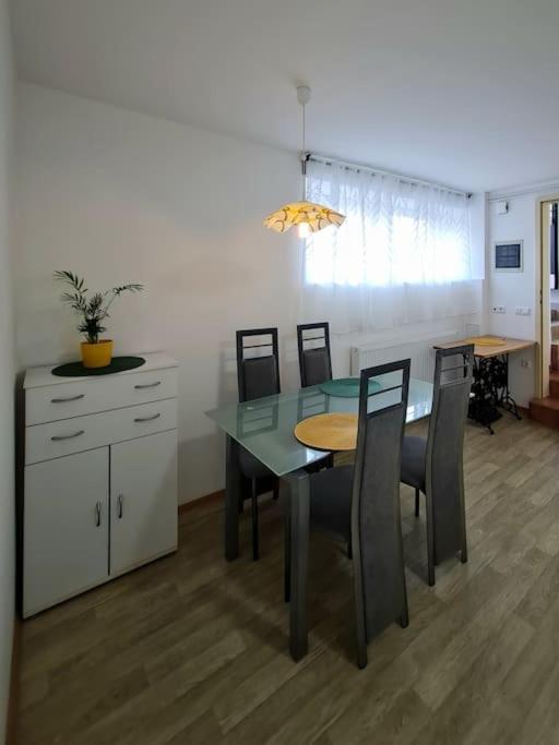 Apartma Juli Zirovnica Dış mekan fotoğraf